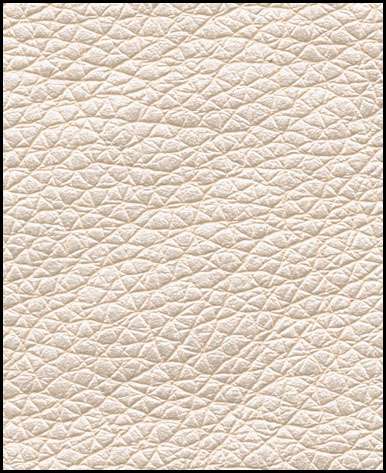 Ambassadrice du cuir écologique